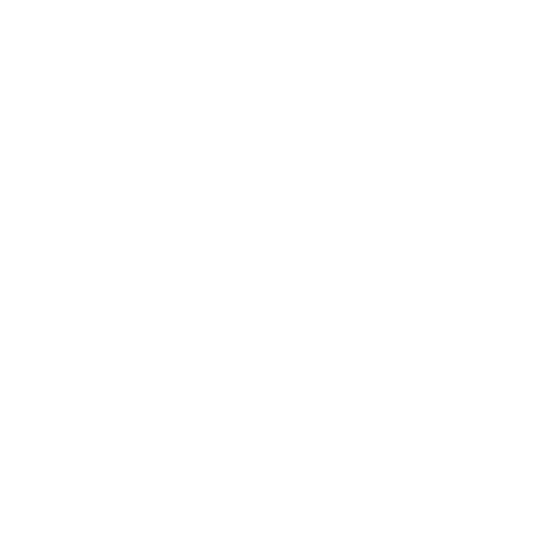 logo light