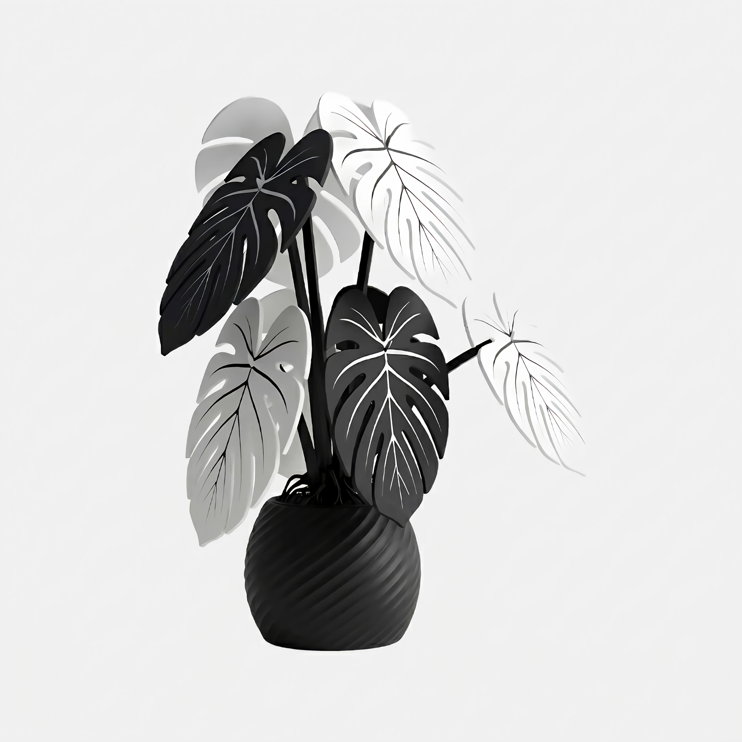 Posavasos Monstera