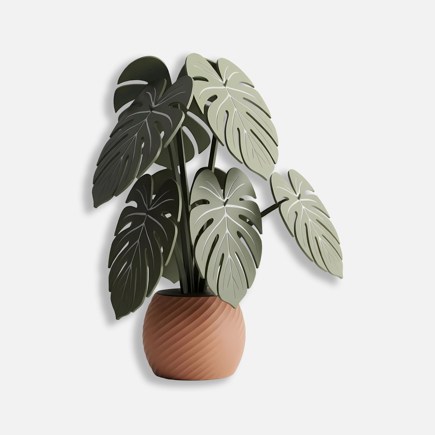 Posavasos Monstera